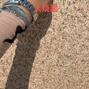 赤峰黄金麻火烧面